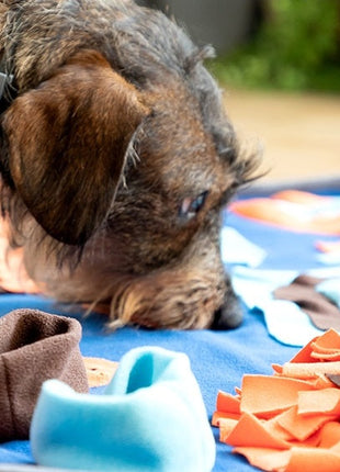 Pet Snuffle Mat Pet Snuffle Mat - siopashop.ie