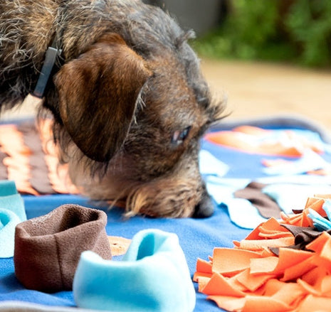 Pet Snuffle Mat Pet Snuffle Mat - siopashop.ie