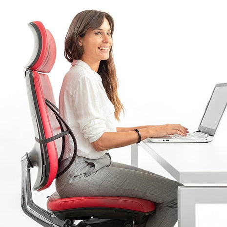 Lumbar Support Lumbar Support for Home, Office or Car - siopashop.ie